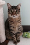 Annie - Photo 1