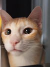 Leroy