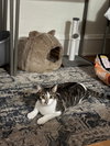 Oliver - Photo 2