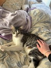 Oliver - Photo 1