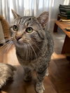 Bob - Photo 4