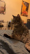 Bob - Photo 1