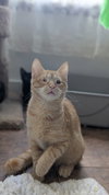 Frazier - Photo 3