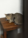Barnaby - Photo 2