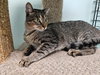 Barnaby - Photo 1