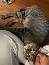 Barnaby - Photo 1