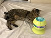 Barnaby - Photo 3