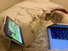 Barnaby - Photo 2