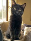 Inez - Photo 3