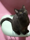 Inez - Photo 2