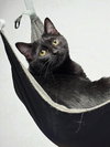 Inez - Photo 1