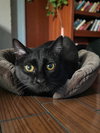 Inez - Photo 4
