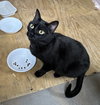 Roxy - Photo 2