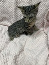 Happy - Photo 6