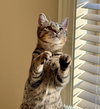Sneezy - Photo 1