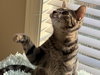Sneezy - Photo 2