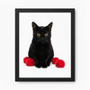 Quatro - Photo 1