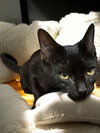 Tango - Photo 2