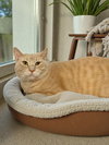 Tanner - Photo 3
