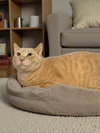 Tanner - Photo 5