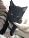 Chiquita - Photo 4