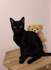 Chiquita - Photo 1