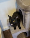 Chiquita - Photo 2