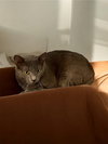 Dana - Photo 3