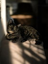 Bridget - Photo 4