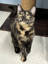 Bridget - Photo 3