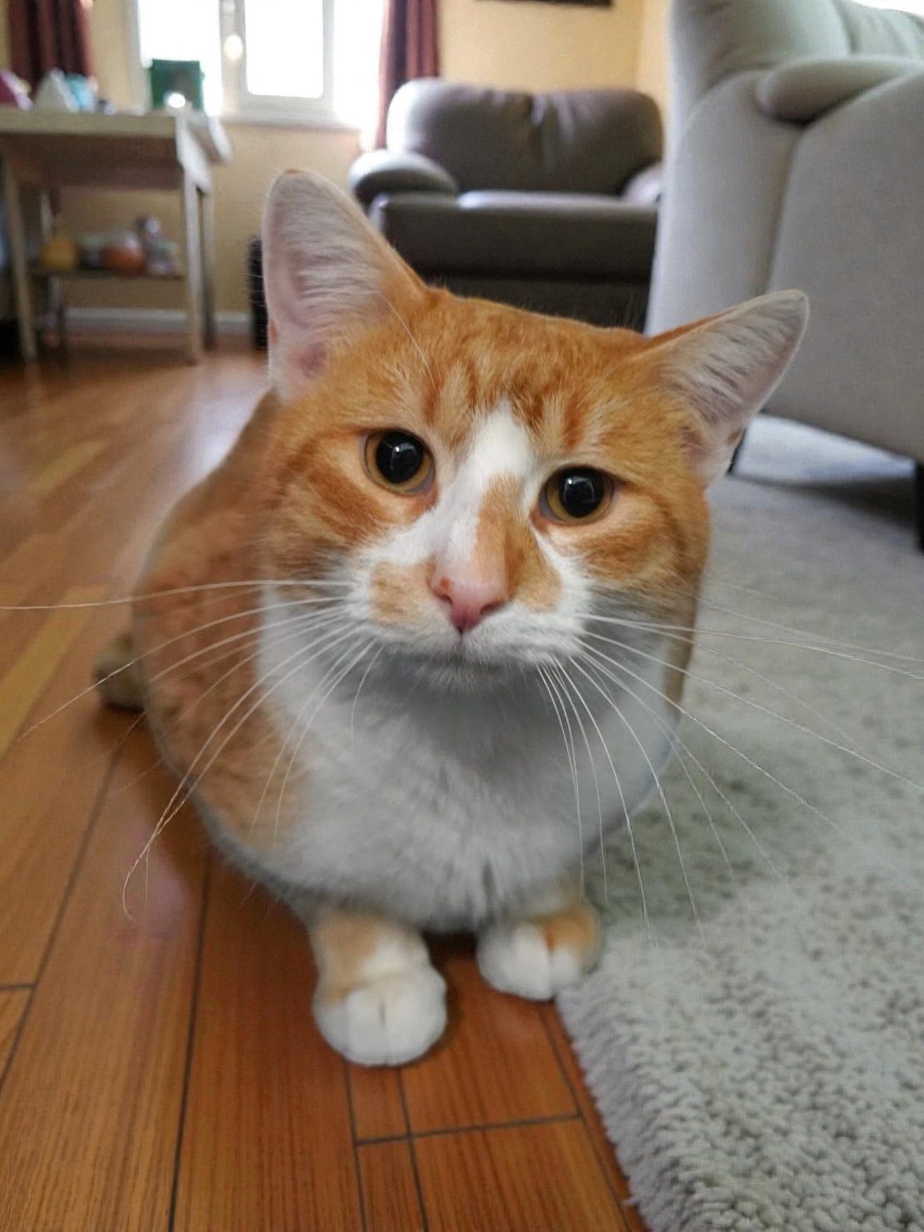 Max Image