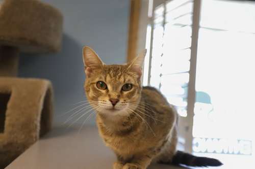 Tabitha photo 2