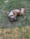 Shawny - Photo 2