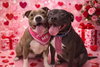 Linus (Linus & Lucy) - Photo 4