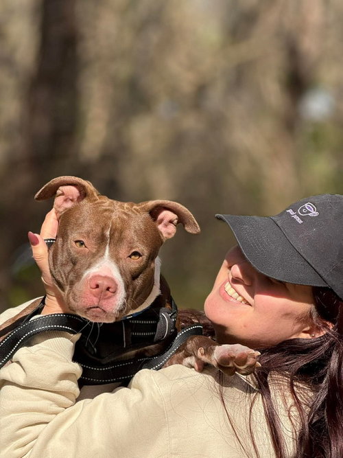 picture of the dog needing adoption