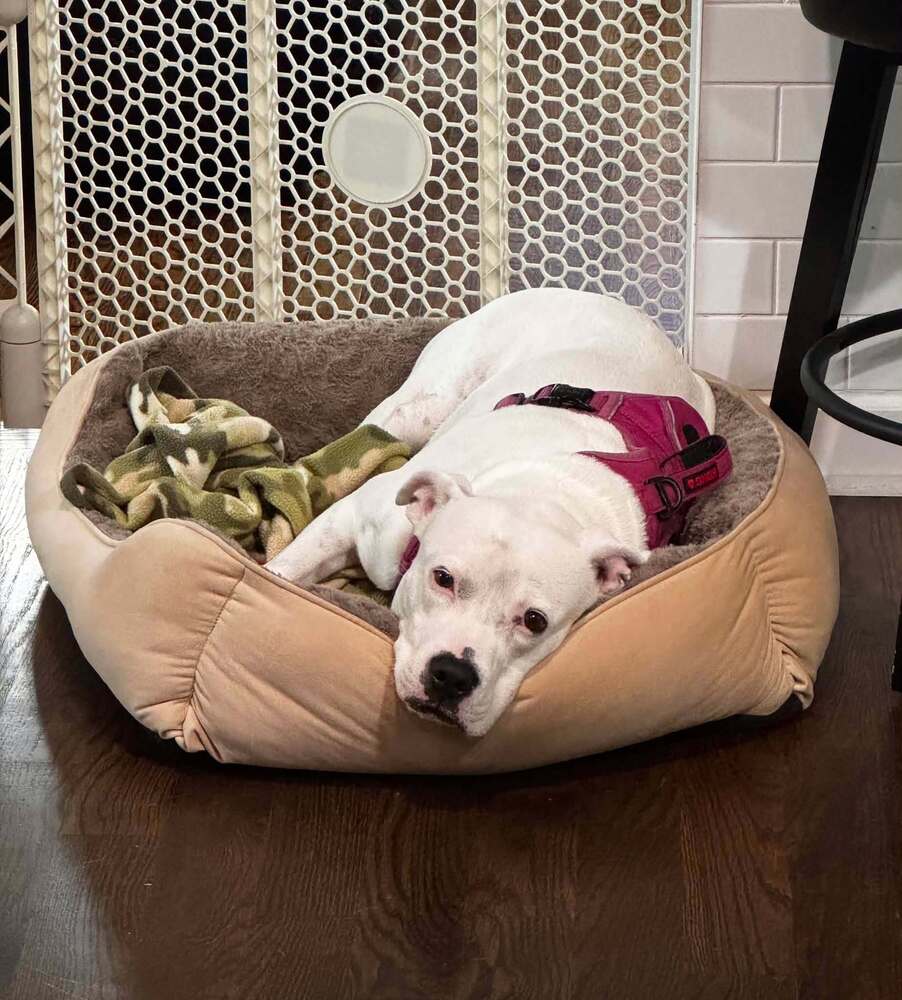 Charlie (F 2026), photo 2