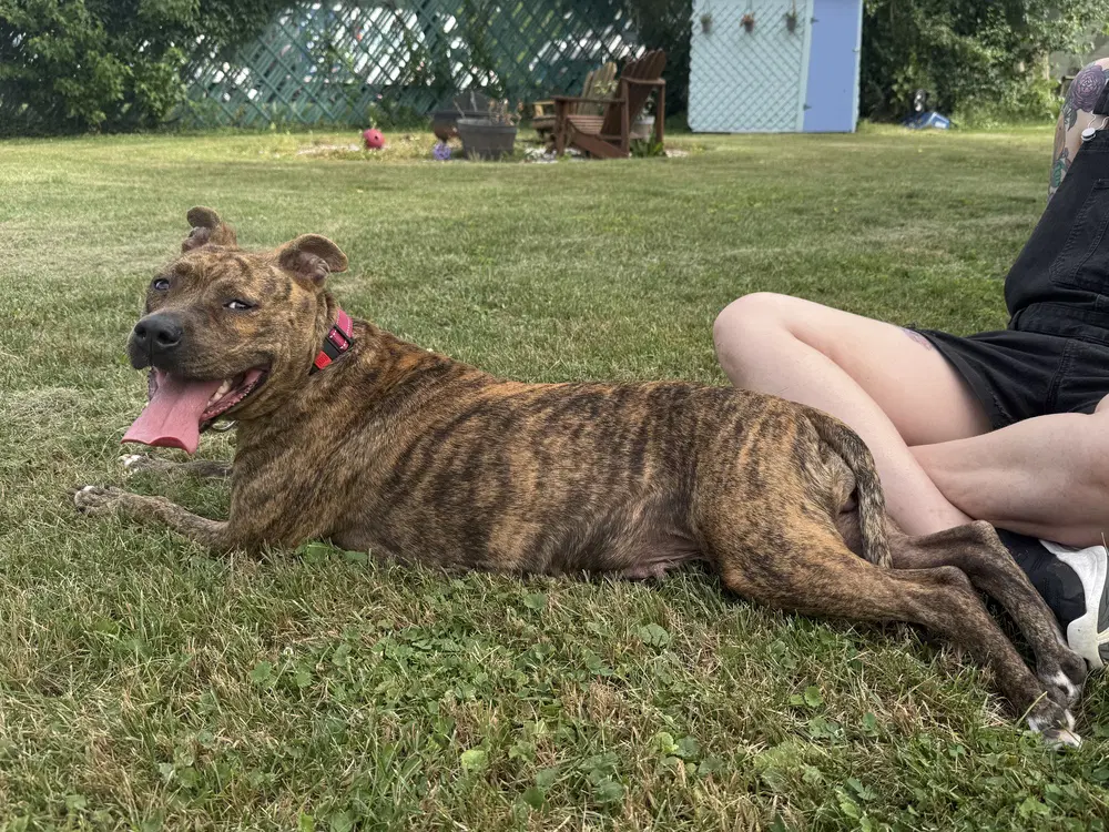 Ember Mama image 4