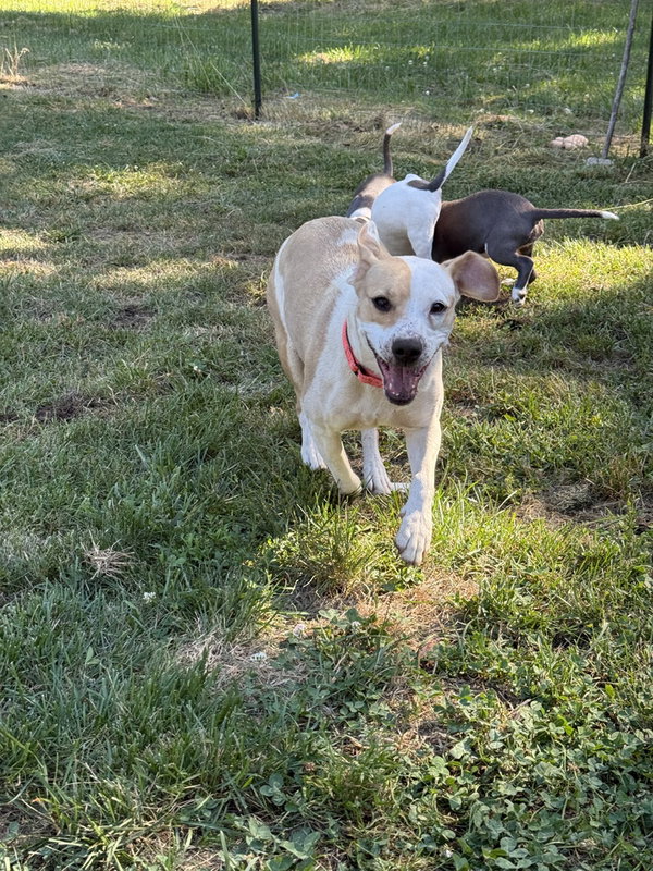 Queenie (Mom Tiny 10 2026)