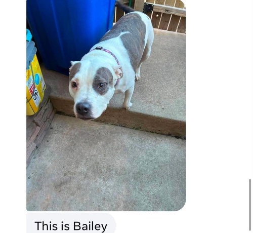 Bailey