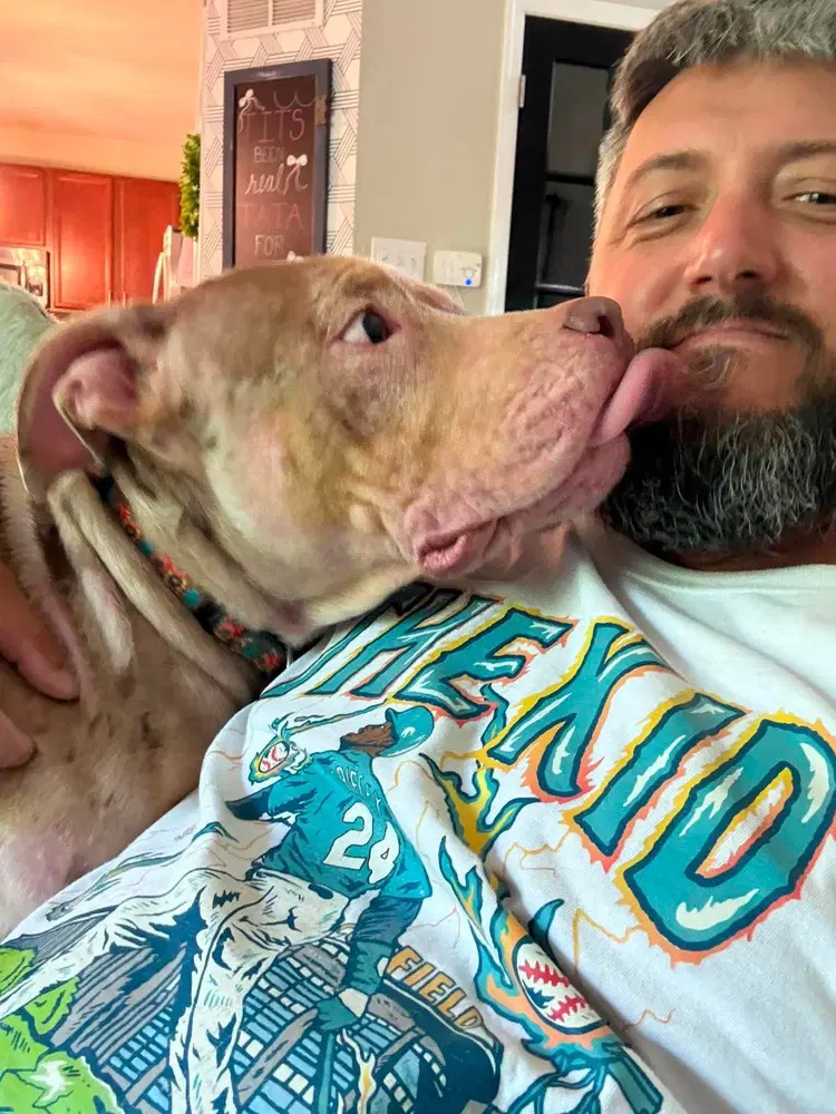 Gracie O - Pit Bull Terrier