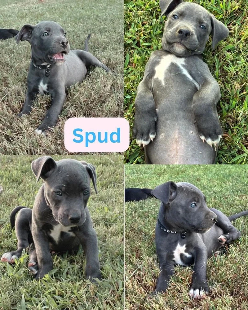 Spud Corso Crew