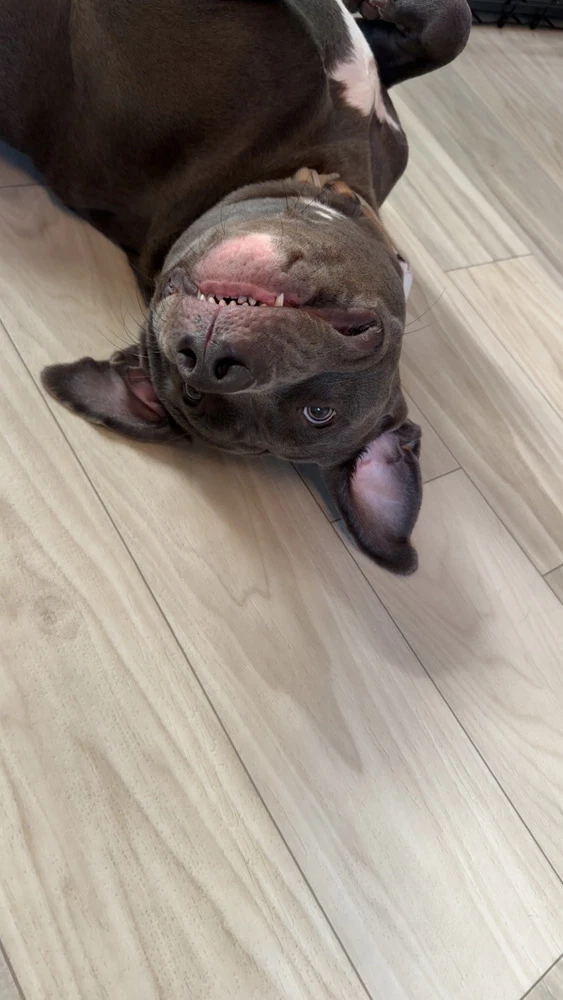 Allie