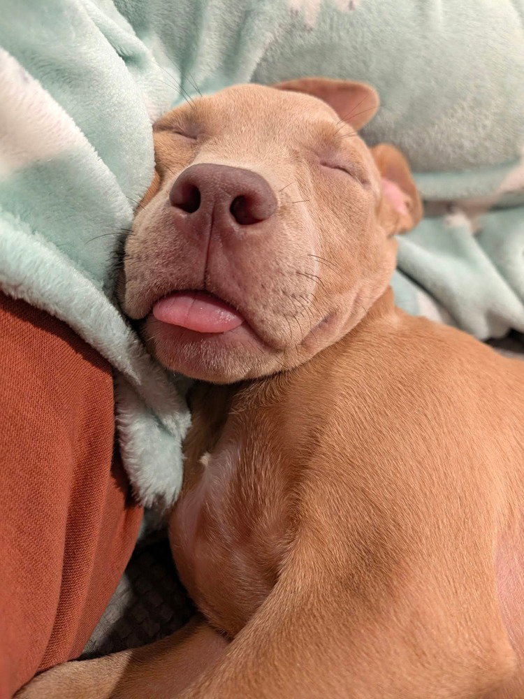 Tater Tot (2026), photo 2