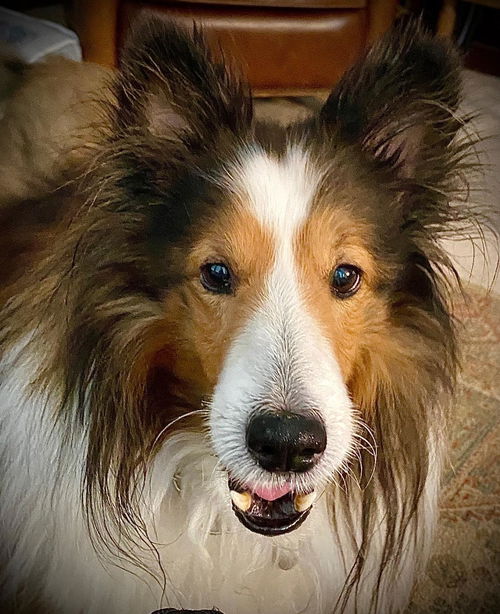 Max