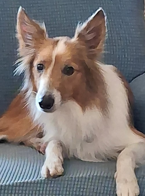 June Bug