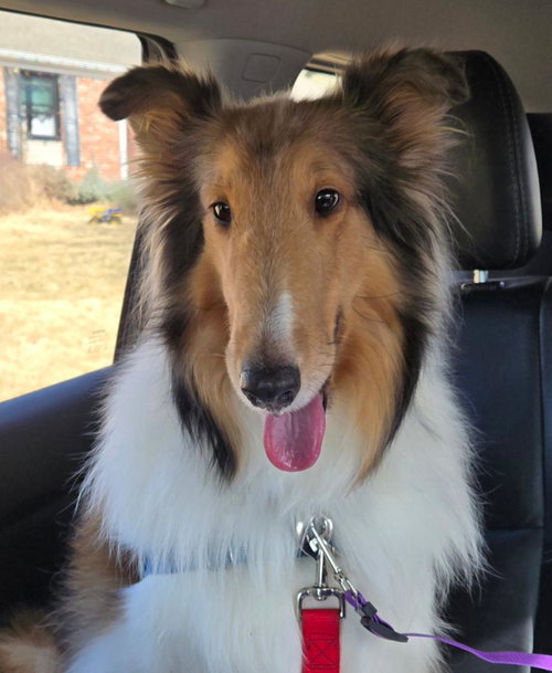 Gwenie