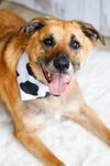 Eddie - Photo 2