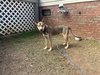 Judy Gemstone - Photo 3