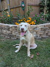Robert L. Frost - Photo 1