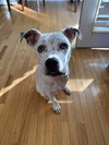 Susie - Photo 1